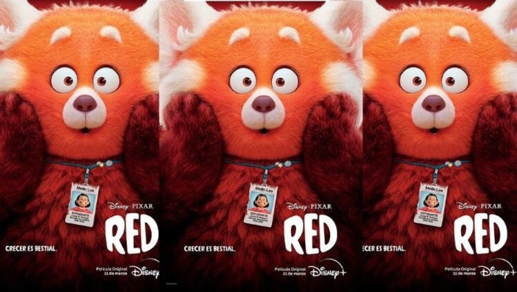 Banner pelicula RED