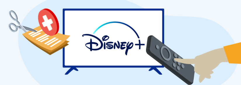 Baja Disney Plus